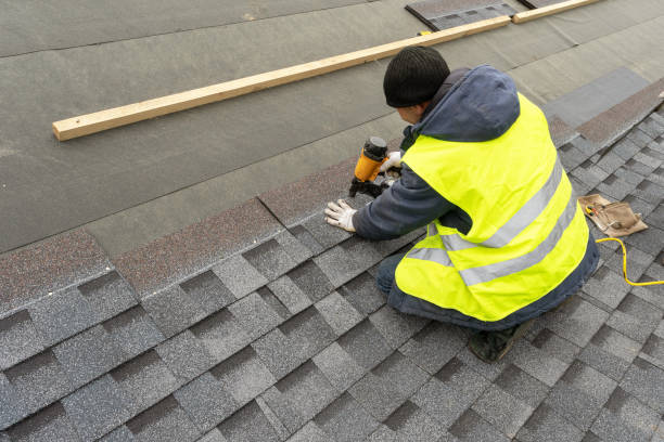 Best Metal Roofing Contractor  in Medpolis, IA