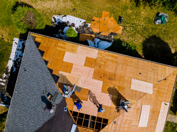 Best Storm Damage Roof Repair  in Medpolis, IA
