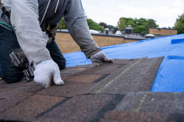 Best Roof Maintenance Services  in Medpolis, IA