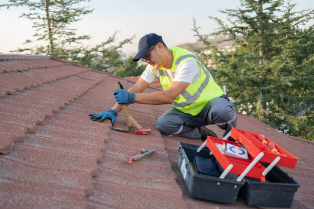 Best Roof Repair Services  in Medpolis, IA