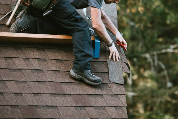 Best Roof Gutter Cleaning  in Medpolis, IA