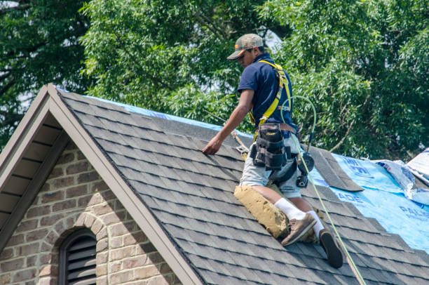 Professional Roofing Contractor in Mediapolis, IA